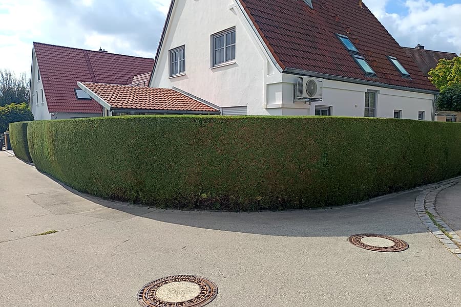 Formgeschnittene Hecke an einer Straßenecke